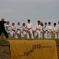 Privalačna slika sportskih klubova